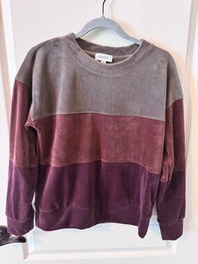 Evereve Taupe Velour Pullover
